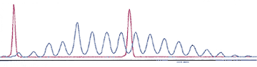 Polyklonales Muster - Diagramm